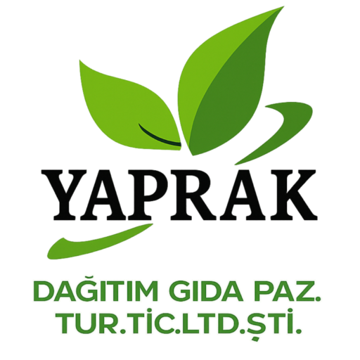 cropped-Logo.png